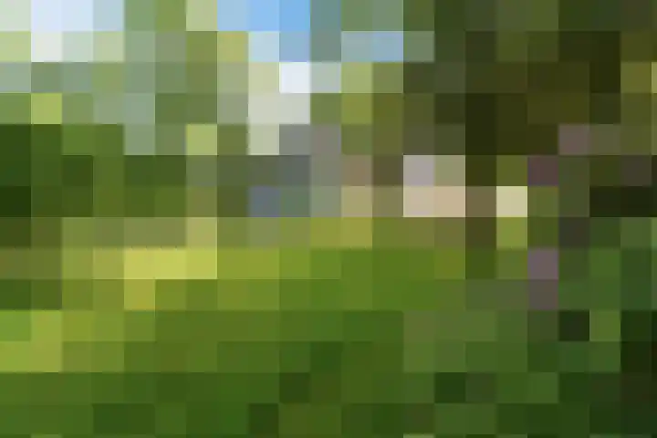 Kennebroeksweg 9 Glane thumbnail 60