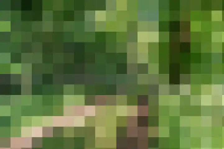 Kennebroeksweg 9 Glane thumbnail 61