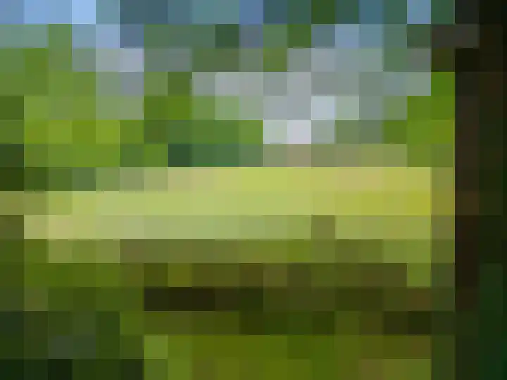 Kennebroeksweg 9 Glane thumbnail 64