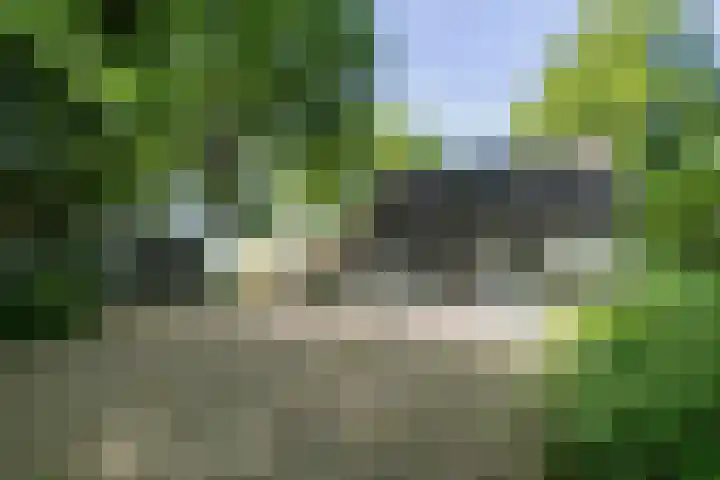 Kennebroeksweg 9 Glane thumbnail 7