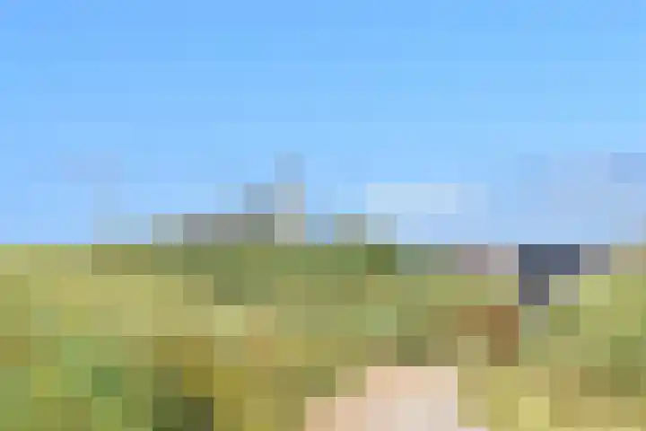 Kennedyboulevard 170 Egmond aan Zee thumbnail 57