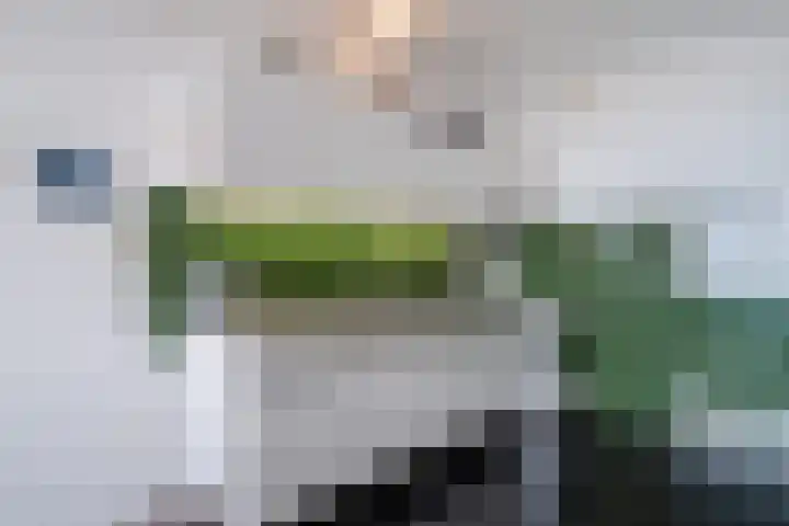 Kennedyboulevard 550 Egmond aan Zee thumbnail 21