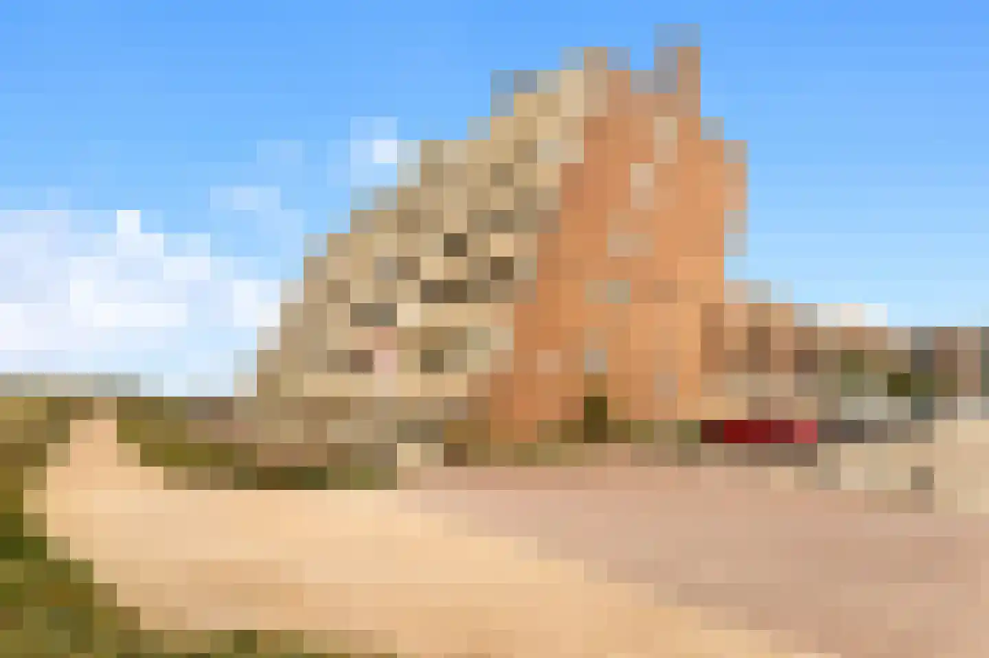 Kennedyboulevard 640 Egmond aan Zee thumbnail 24