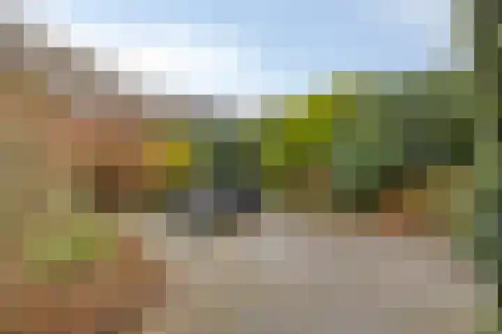 Kennedydreef 128 Ede thumbnail 25