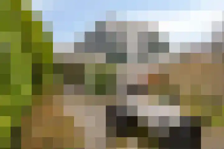 Kennedydreef 128 Ede thumbnail 27