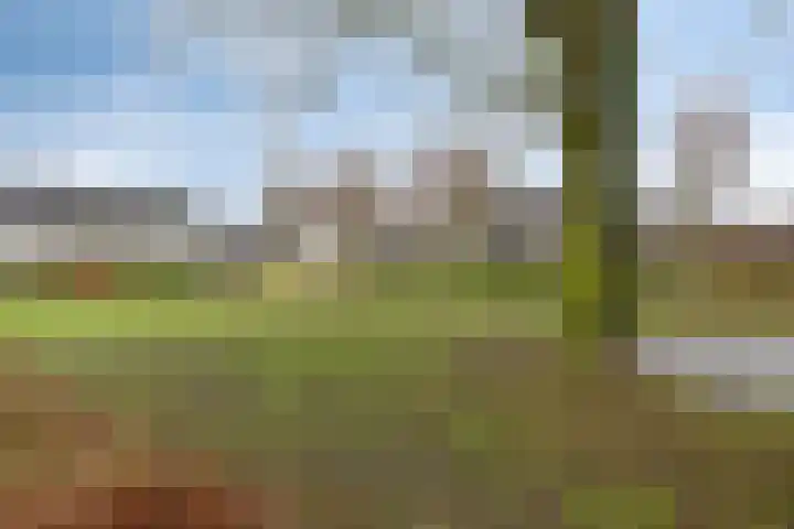 Kennedydreef 128 Ede thumbnail 31