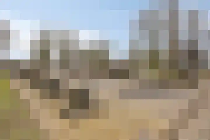 Kennedydreef 128 Ede thumbnail 32