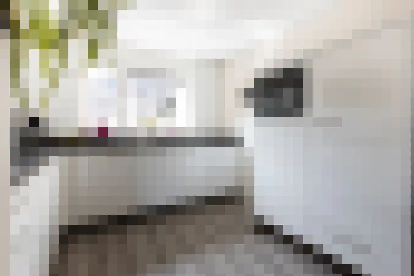 Kennedydreef 50 Ede thumbnail 13