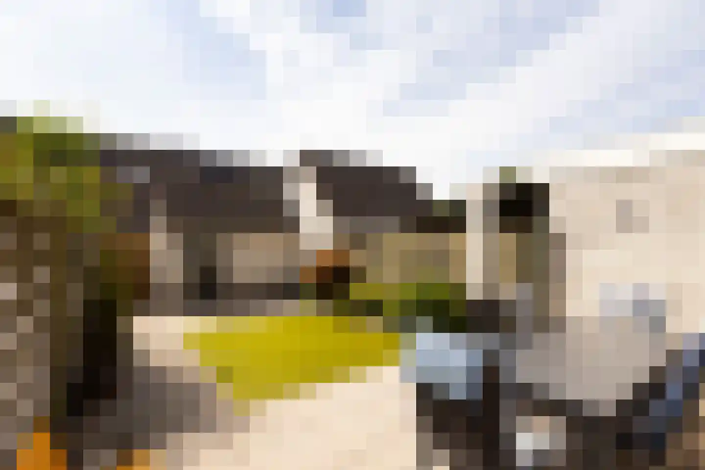 Kennedydreef 50 Ede thumbnail 29