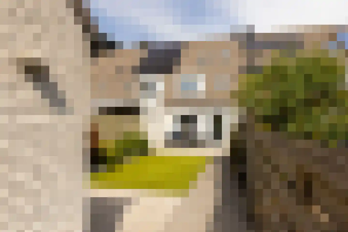 Kennedydreef 50 Ede thumbnail 31