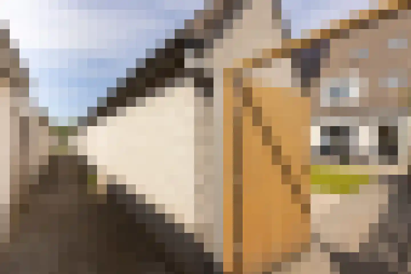 Kennedydreef 50 Ede thumbnail 32
