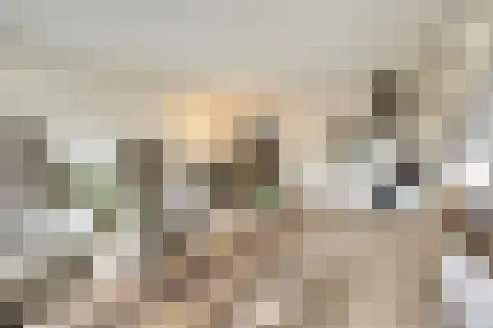 Kennedydreef 69 Ede thumbnail 10