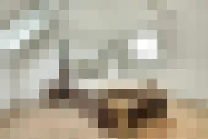 Kennedydreef 69 Ede thumbnail 33