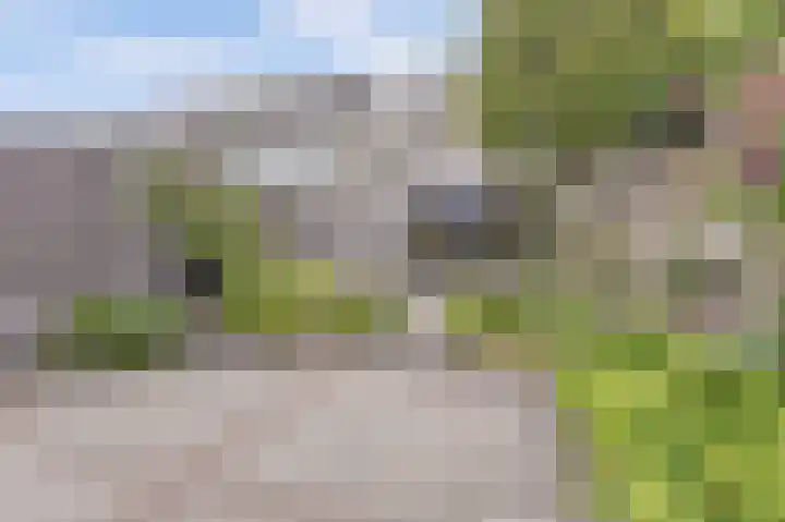 Kennedydreef 69 Ede thumbnail 36