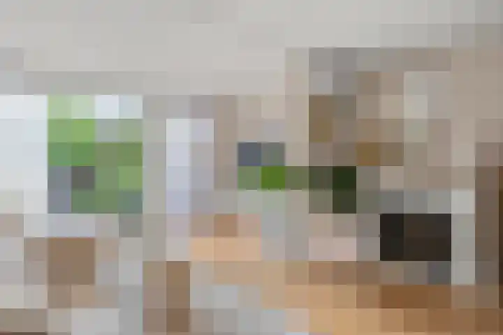Kennedydreef 88 Ede thumbnail 14