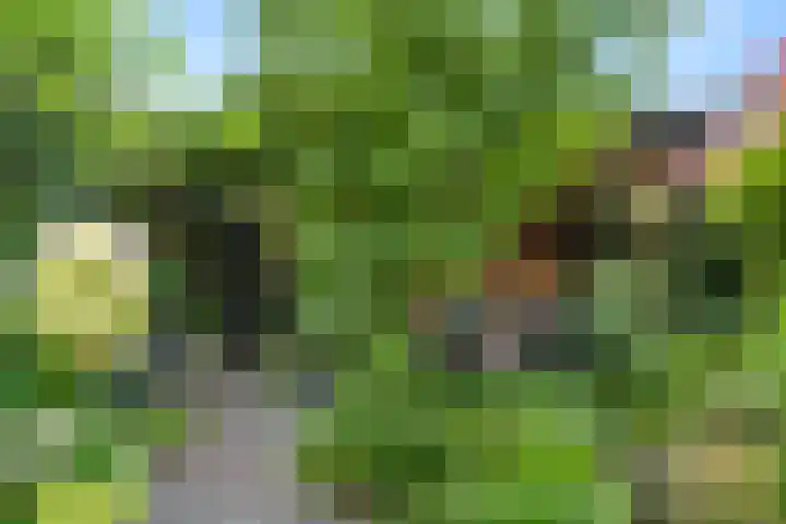 Kennedydreef 88 Ede thumbnail 19