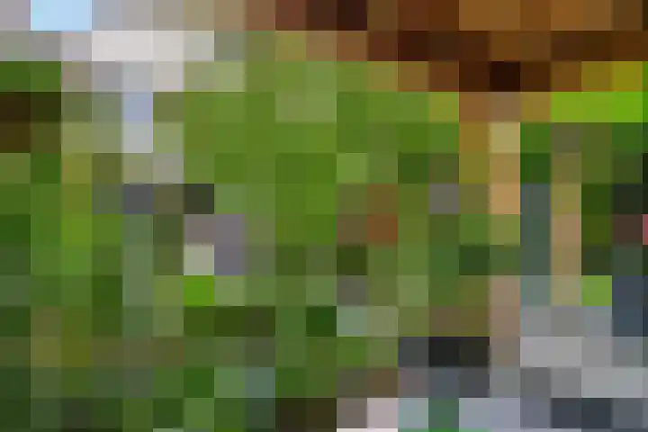 Kennedydreef 88 Ede thumbnail 22