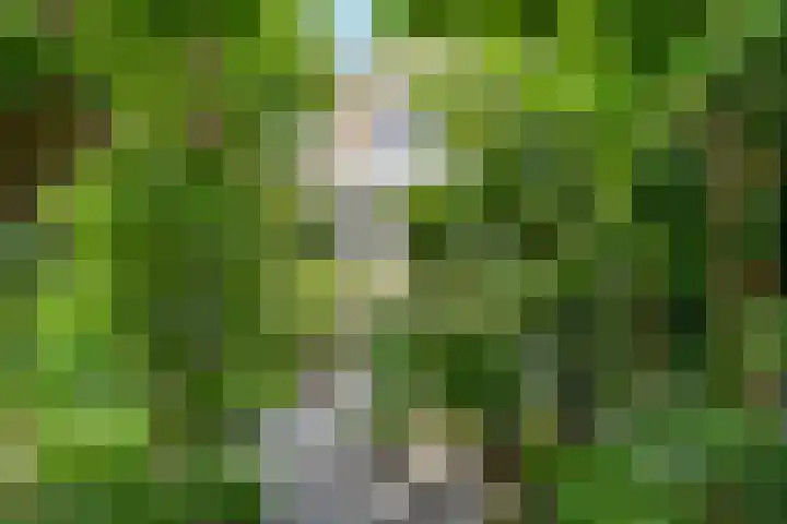 Kennedydreef 88 Ede thumbnail 27
