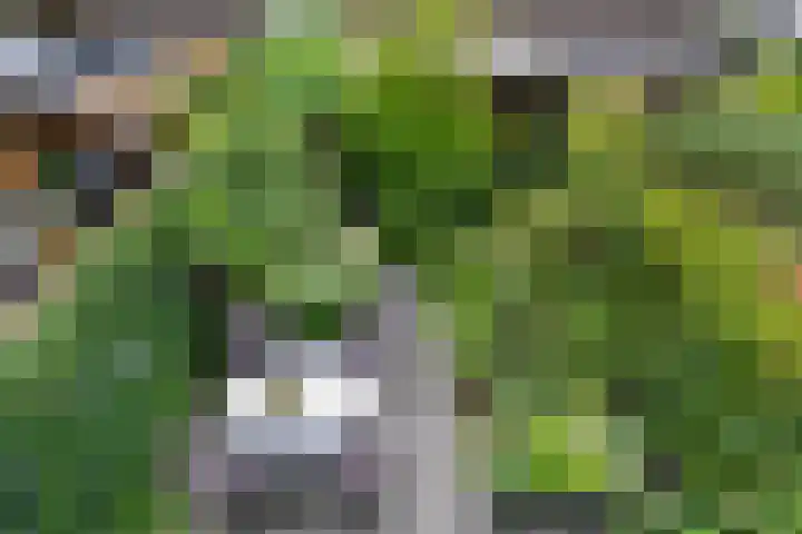 Kennedydreef 88 Ede thumbnail 48