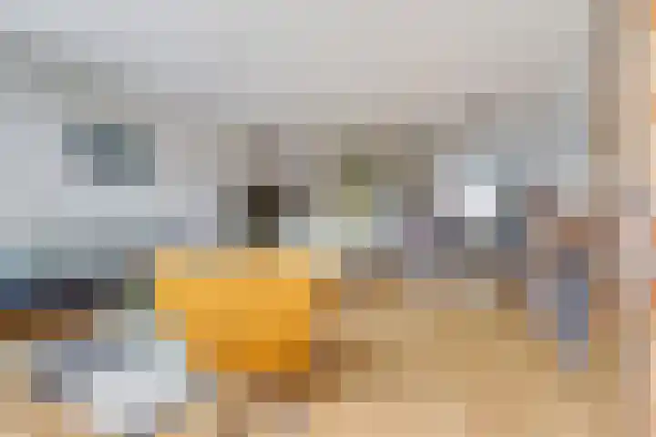 Kennedydreef 95 Ede thumbnail 11