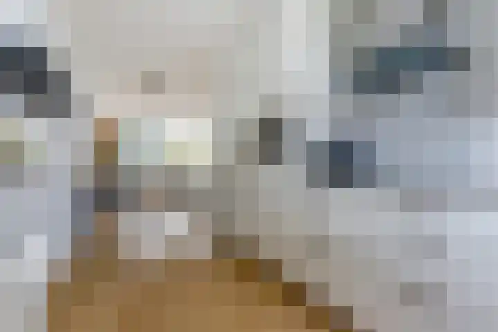 Kennedydreef 95 Ede thumbnail 14