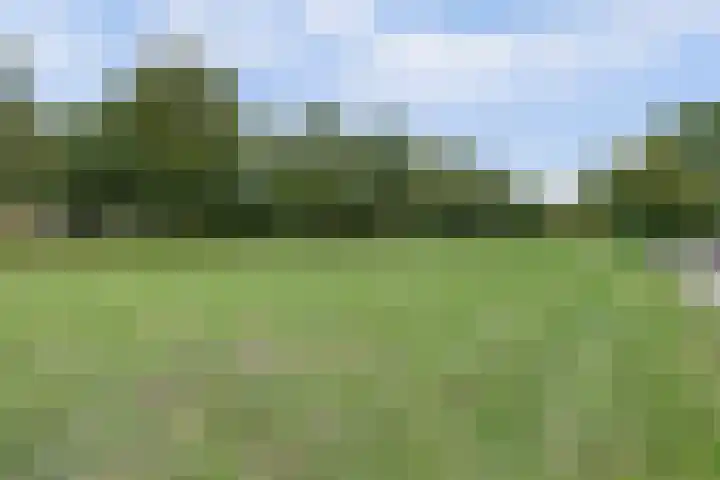 Kennedydreef 95 Ede thumbnail 31