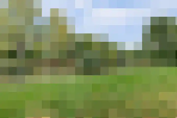 Kennedydreef 95 Ede thumbnail 32