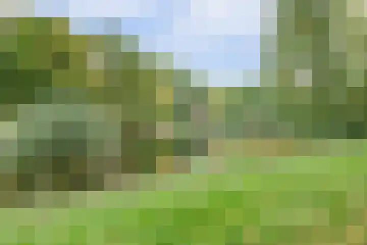 Kennedydreef 95 Ede thumbnail 33