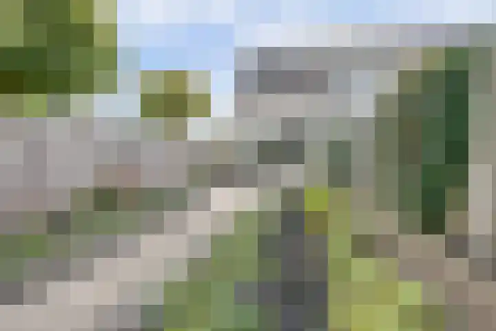 Kennedydreef 95 Ede thumbnail 4