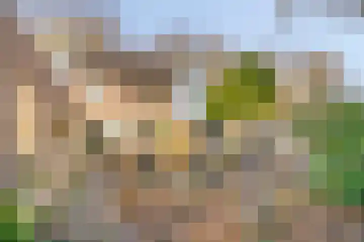 Kennedylaan 10 Rosmalen thumbnail 37