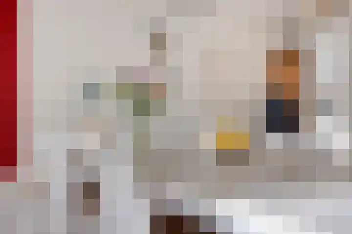 Kennedylaan 10 Rosmalen thumbnail 6