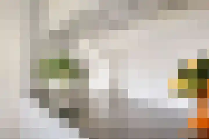 Kennedylaan 10 Rosmalen thumbnail 8