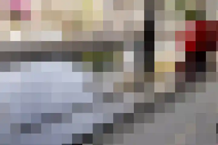 Kennedylaan 10 Rosmalen thumbnail 9
