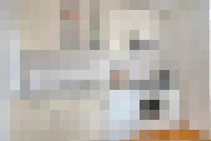 Kennedylaan 14 Eygelshoven thumbnail 11