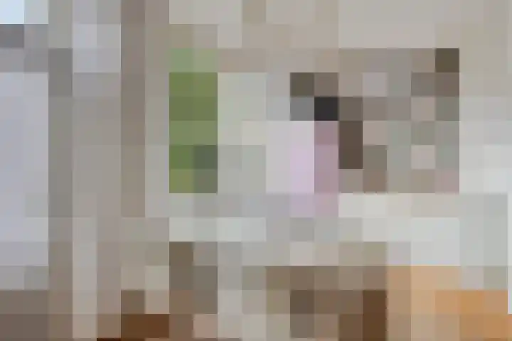 Kennedylaan 14 Eygelshoven thumbnail 12