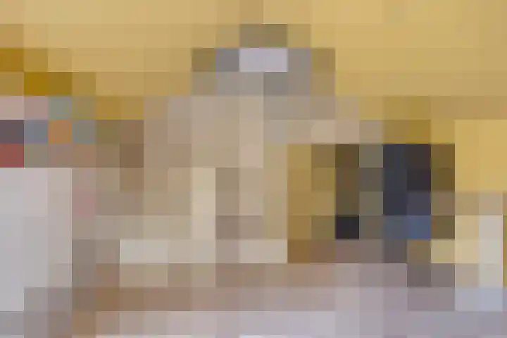 Kennedylaan 14 Eygelshoven thumbnail 21