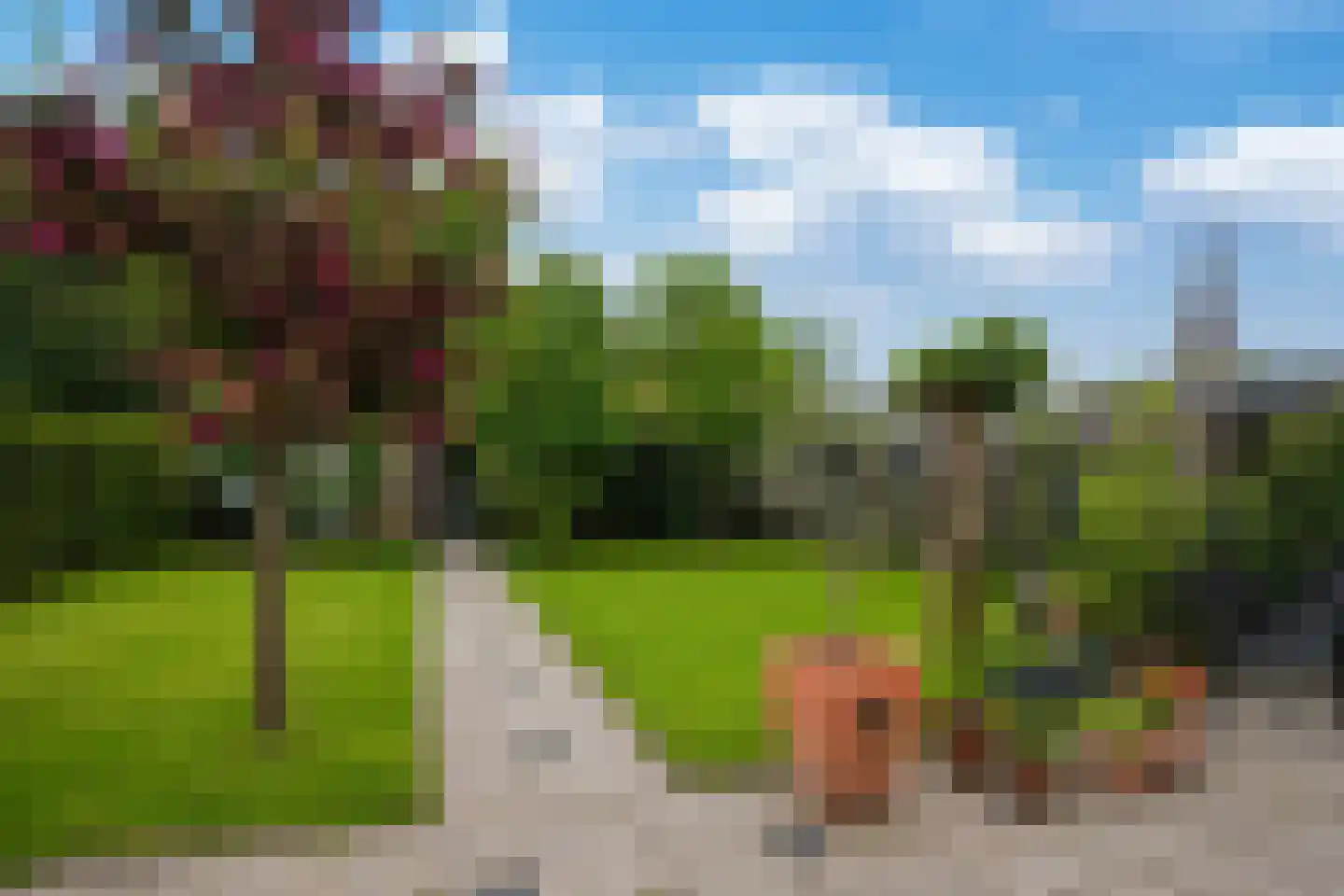 Kennedylaan 16 Eijsden thumbnail 4