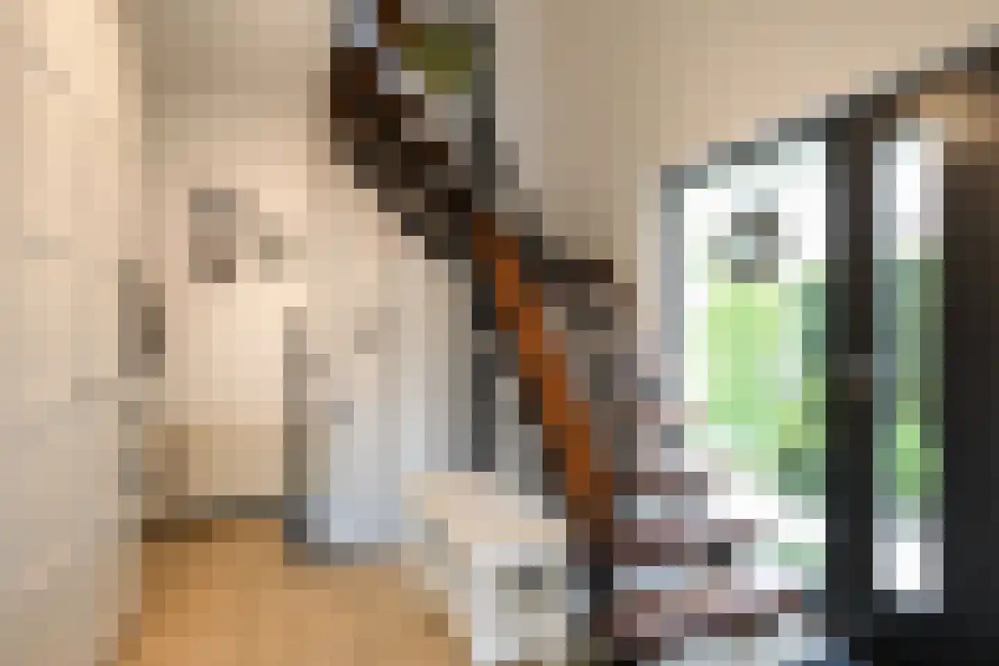 Kennedylaan 16 Eijsden thumbnail 5
