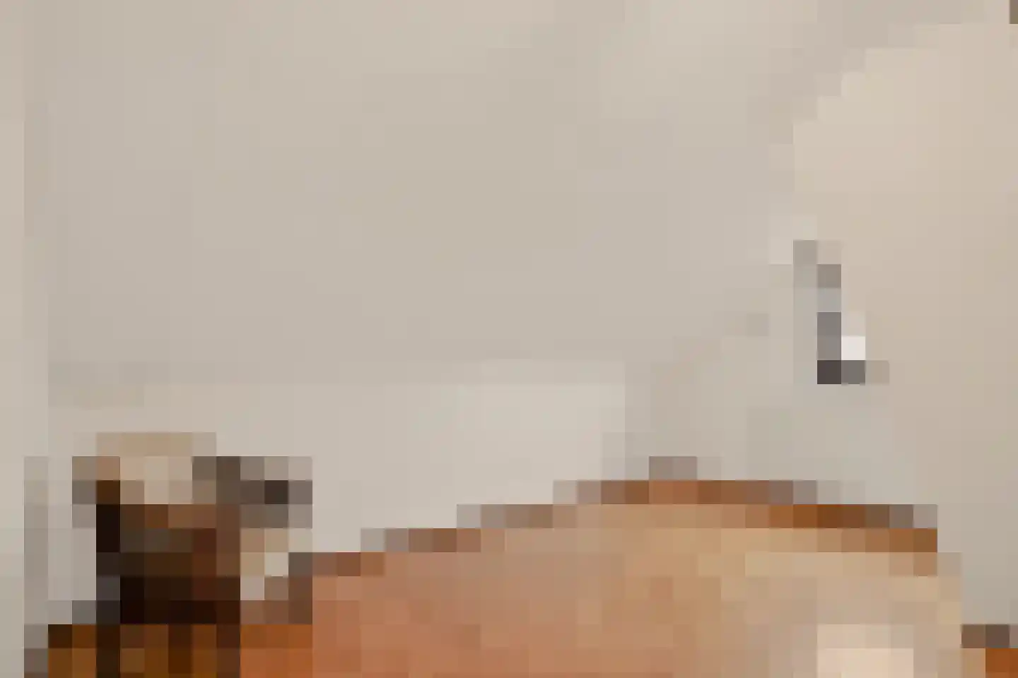 Kennedylaan 17 Eijsden thumbnail 20