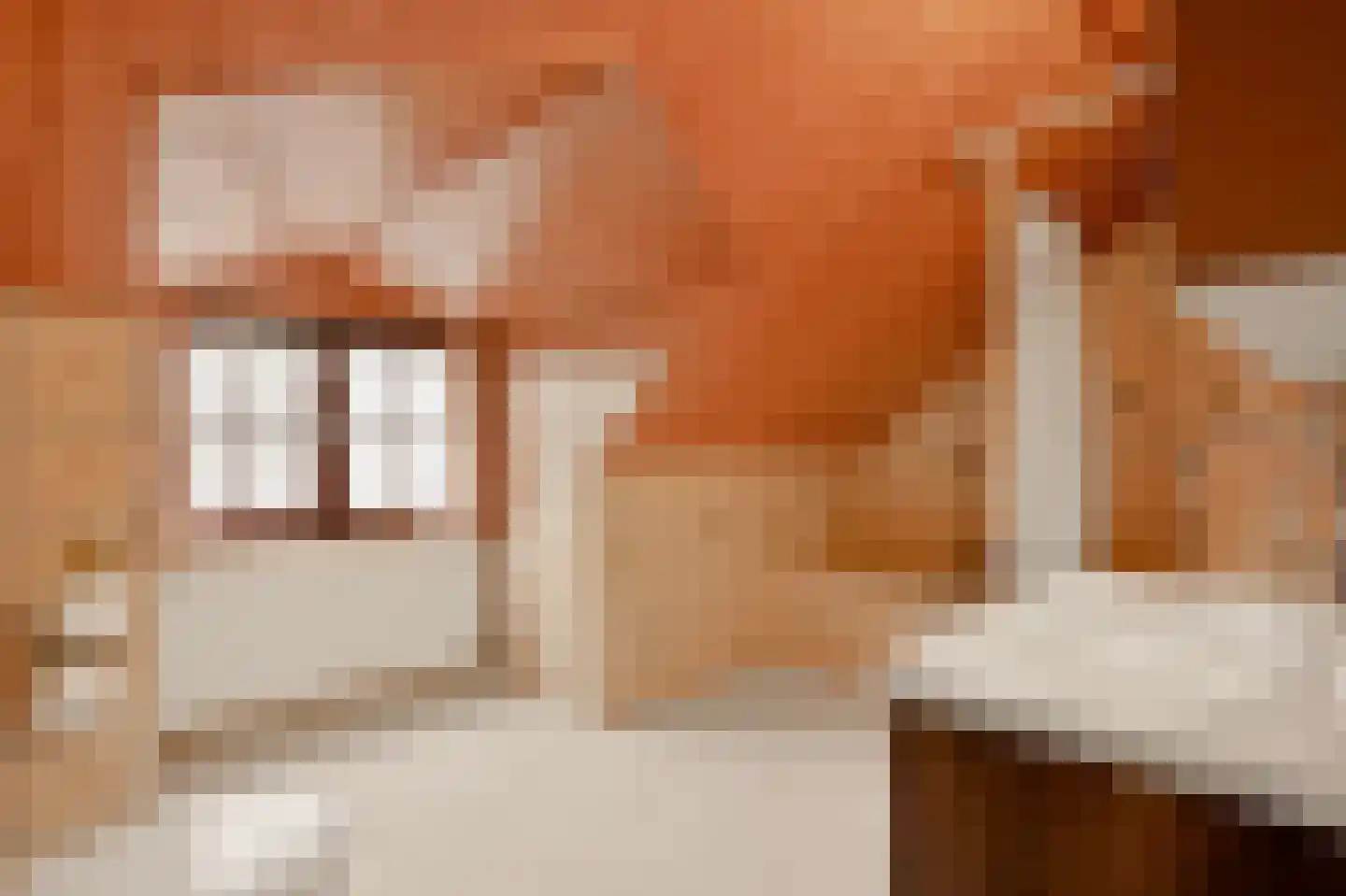 Kennedylaan 17 Eijsden thumbnail 21