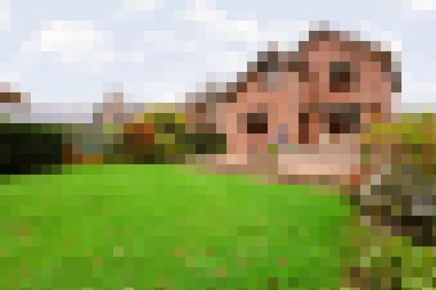 Kennedylaan 17 Eijsden thumbnail 29