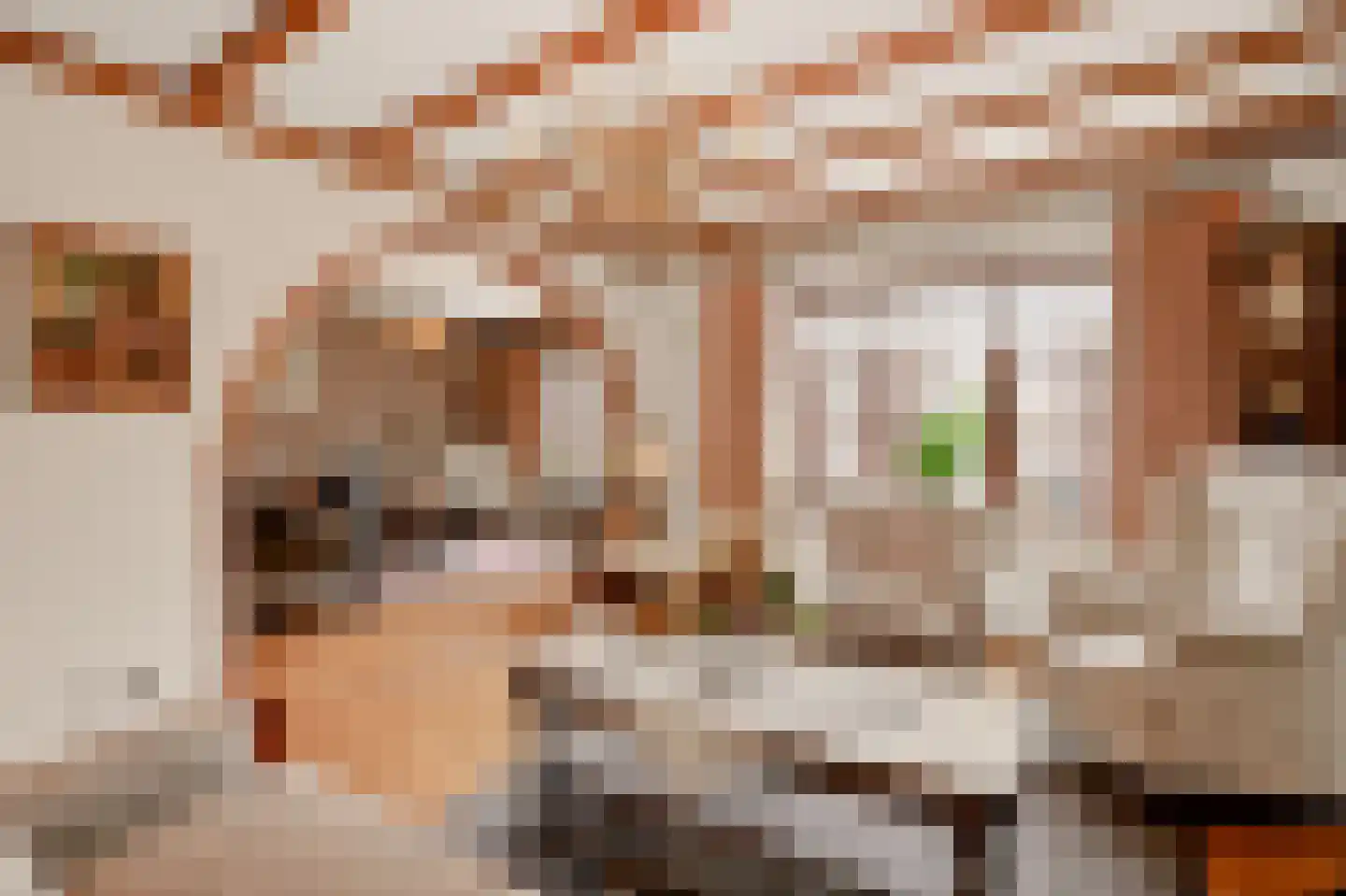 Kennedylaan 17 Eijsden thumbnail 4