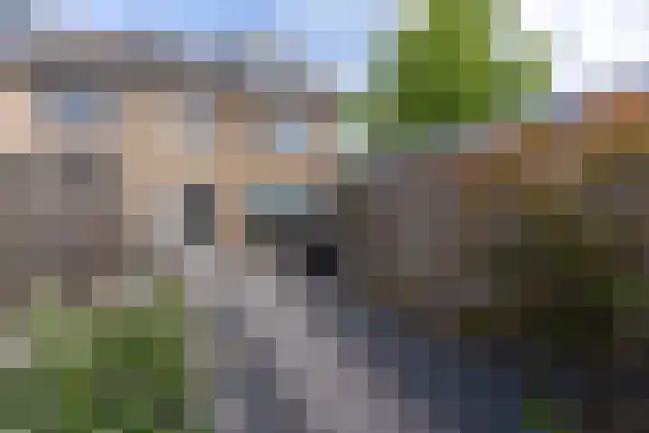 Kennedylaan 19 Harderwijk thumbnail 31
