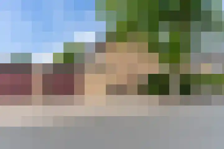 Kennedylaan 19 Harderwijk thumbnail 34