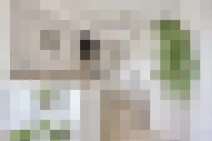 Kennedylaan 2 09 Goes thumbnail 12