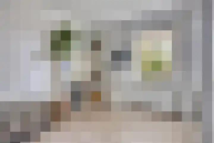 Kennedylaan 2 09 Goes thumbnail 19