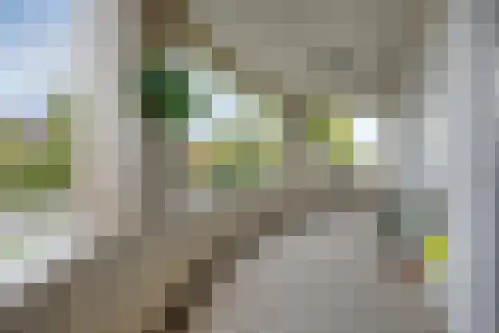 Kennedylaan 2 09 Goes thumbnail 23