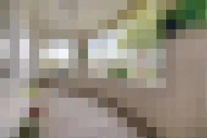 Kennedylaan 2 09 Goes thumbnail 24