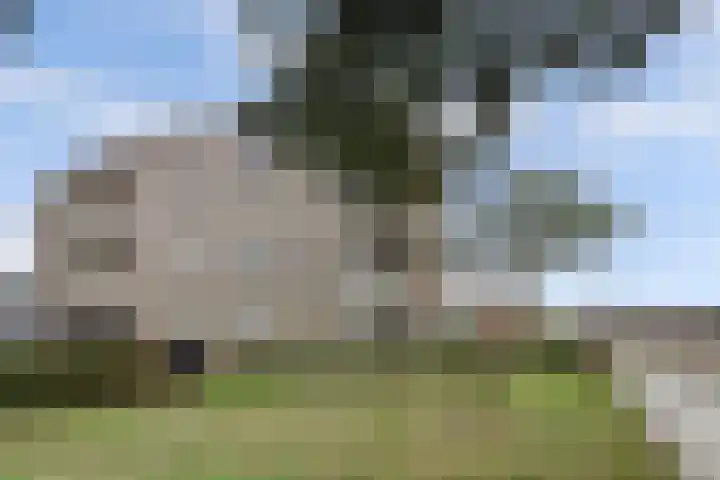 Kennedylaan 2 09 Goes thumbnail 5