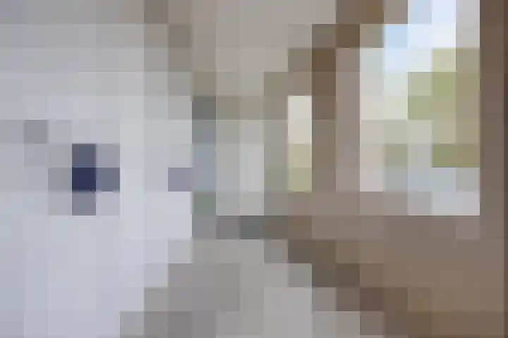 Kennedylaan 2 09 Goes thumbnail 6